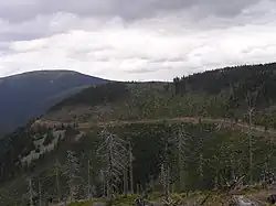 Uhlisko z jihu, v pozadí Králický Sněžník