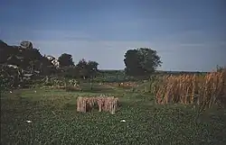 Krajina na pobřeží ostrova