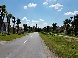 Pohled na Špišić Bukovici