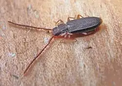 alternativní popis obrázku chybí