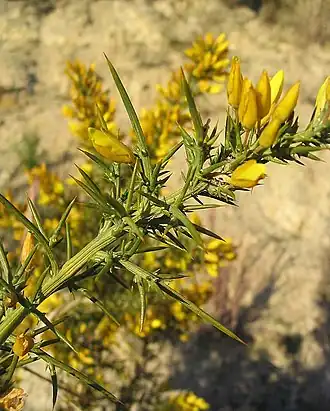 alternativní popis obrázku chybí