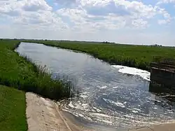 Ulmas proti proudu od přečerpávací stanice na řece u Uostadvarského majáku