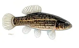 alternativní popis obrázku chybí