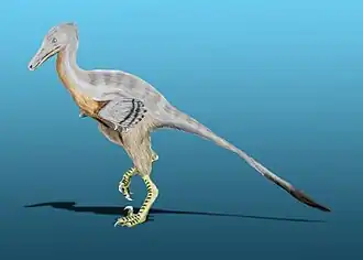 alternativní popis obrázku chybí