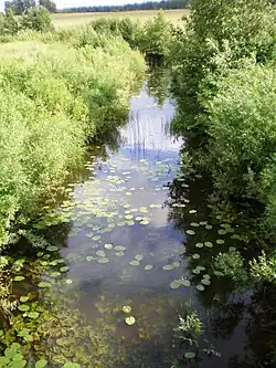 Upytė ze silnice č. 195 Krekenava – Upytė – Panevėžys