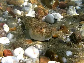 alternativní popis obrázku chybí