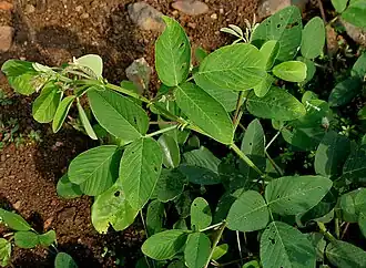 alternativní popis obrázku chybí