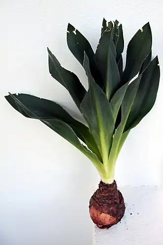 alternativní popis obrázku chybí