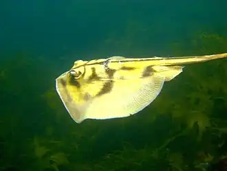 alternativní popis obrázku chybí