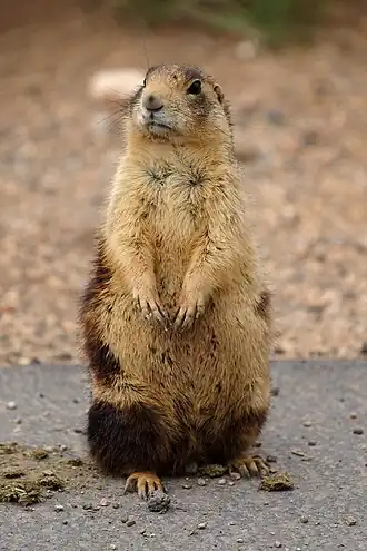 alternativní popis obrázku chybí