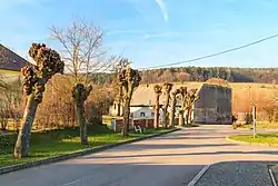 Trasa 1917 společně s trasou 0451 ve Vápenném Podolu