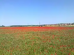 Pohled na Tótvázsony