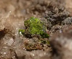 Vésigniéit z lokality Bad Lauterberg v Dolním Sasku, Německo (velikost asi 6 mm)