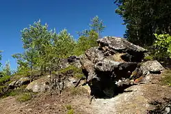 Pískovcové skalky na Víšku