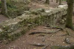 Vítkův hrádek 2007-07-31 Nádvorní strana palácové zdi.jpg