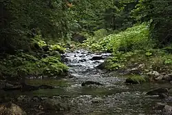 Jizerka ve Vítkovicích