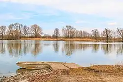 pohled na Vítkovský rybník u Chlumce nad Cidlinou