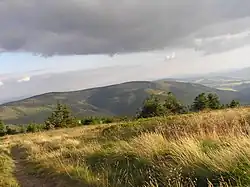 Podbělský hřbet z Králického Sněžníku