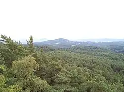 Dubová hora z Čapu