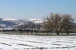 Výhon od severovýchodu