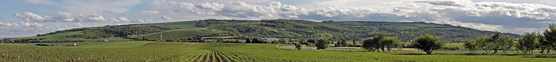 Masiv Výhonu, pohled ze severovýchodu. Na úpatí vpravo obec Blučina.