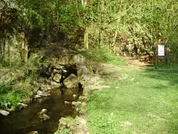 Vývěr Jedovnického potoka u Býčí skály