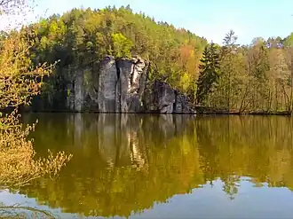 Věžický rybník na potoce Jordánka