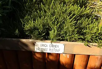 alternativní popis obrázku chybí