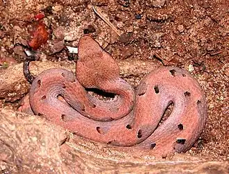 alternativní popis obrázku chybí