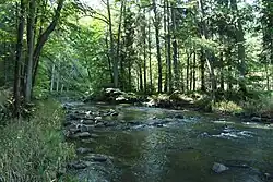 Pohled na řeku Lomnici