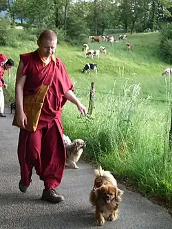 Jiří Bílek (15. června 2014)