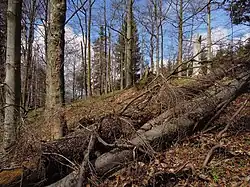 Přírodní památka Vachalka