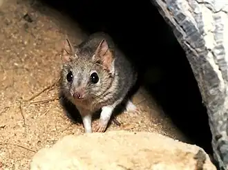 alternativní popis obrázku chybí