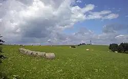 Vrch Val směrem od Horní Orlice - rozcestí