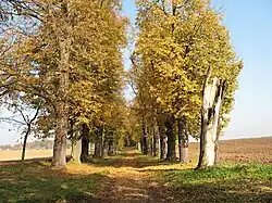 Valdštejnská alej poblíž kamenného mostu