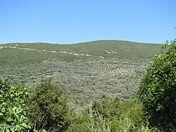 Pohled na jižní svah kopce