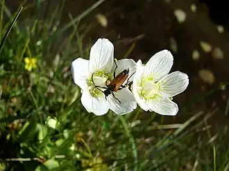 alternativní popis obrázku chybí