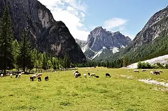 Údolí Innerfeldtal