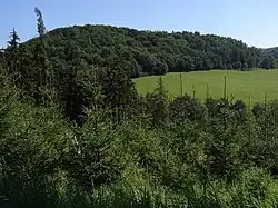 Valy (489 m) s hradištěm poblíž Kalu u Pecky - pohled od JZ, od silnice u tvrziště Bělušice.jpg