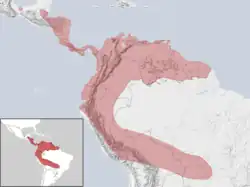 Areál rozšíření