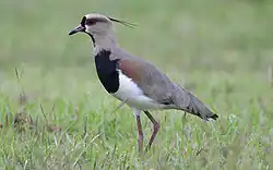 alternativní popis obrázku chybí