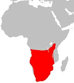 Areál rozšíření