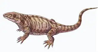 alternativní popis obrázku chybí