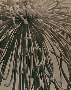 Variations on a theme