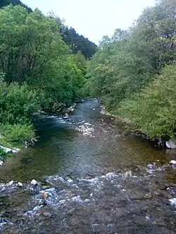 Varínka u obce Belá