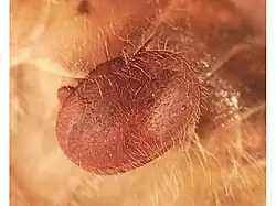 alternativní popis obrázku chybí