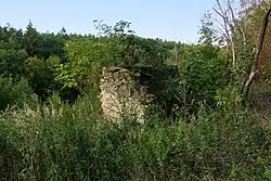 Trosky domu v bývalé Vazačce