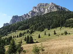 Pohled na Velký Rozsutec od sedla Medzirozsutce