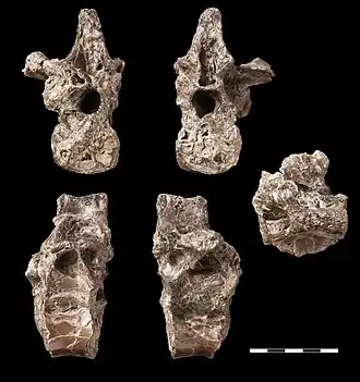 alternativní popis obrázku chybí