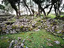 Zřícenina postupně zarůstající vegetací